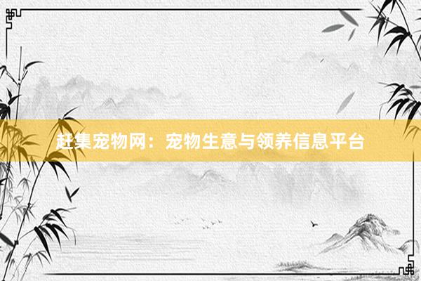 赶集宠物网：宠物生意与领养信息平台